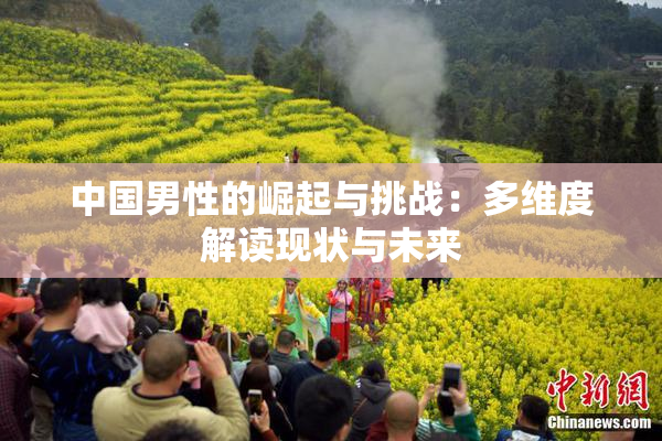 中国男性的崛起与挑战：多维度解读现状与未来