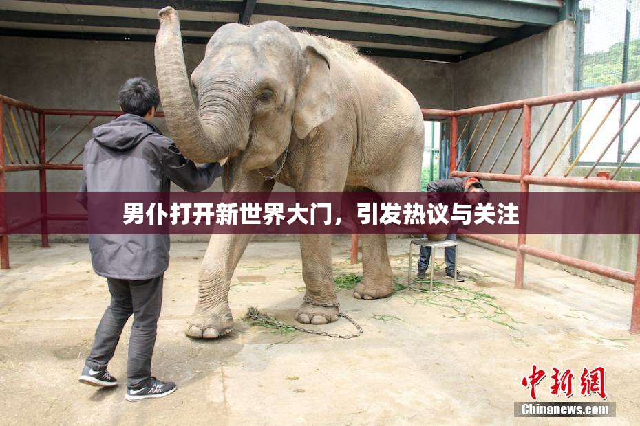 男仆打开新世界大门，引发热议与关注