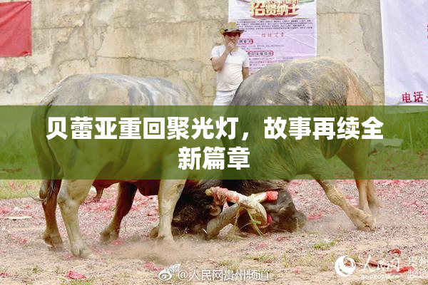贝蕾亚重回聚光灯，故事再续全新篇章