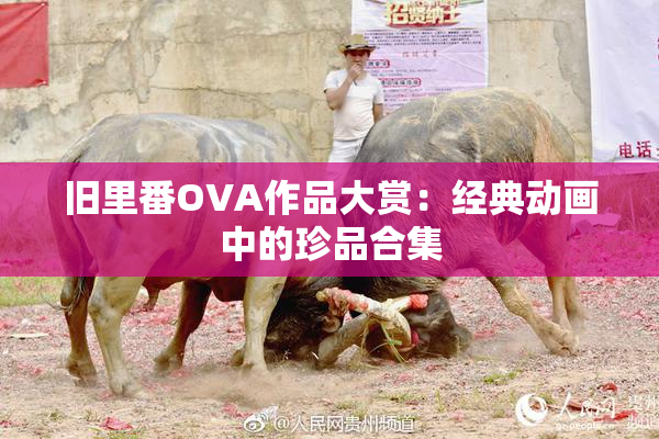旧里番OVA作品大赏：经典动画中的珍品合集