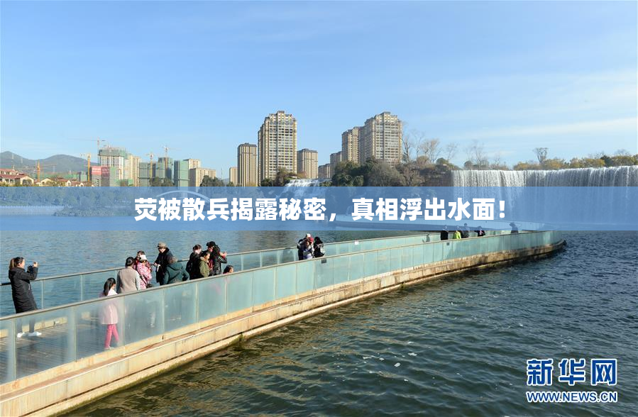 荧被散兵揭露秘密，真相浮出水面！