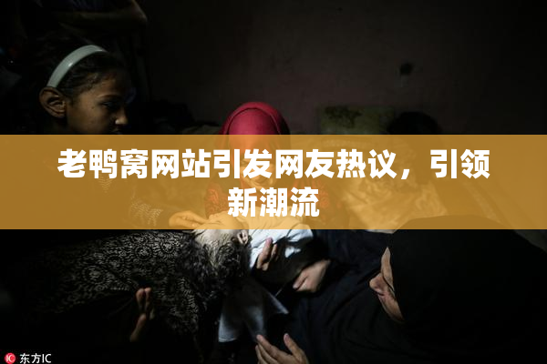 老鸭窝网站引发网友热议，引领新潮流