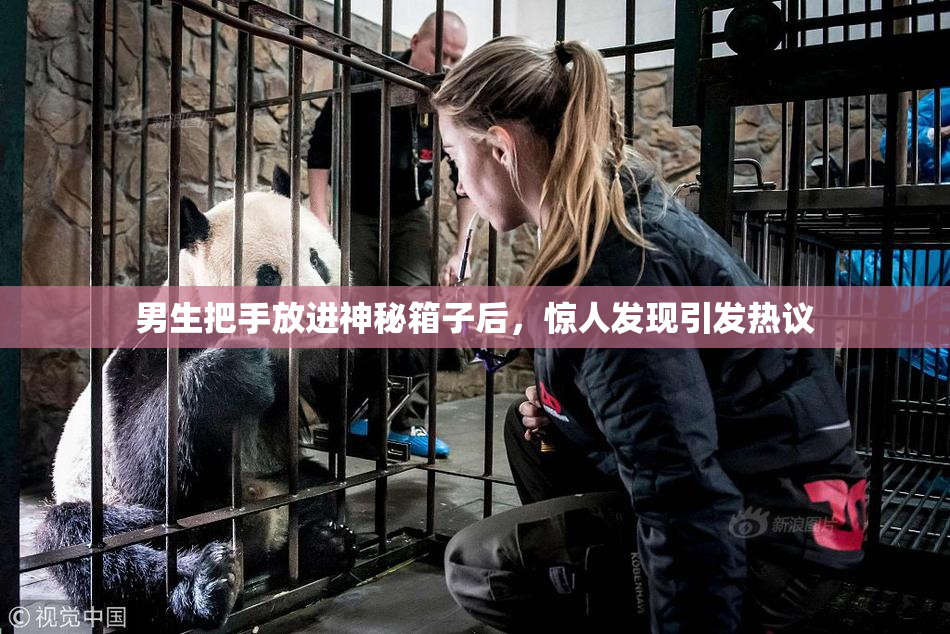 男生把手放进神秘箱子后，惊人发现引发热议