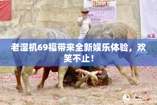 老湿机69福带来全新娱乐体验，欢笑不止！