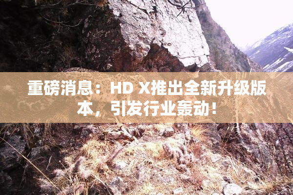 重磅消息：HD X推出全新升级版本，引发行业轰动！