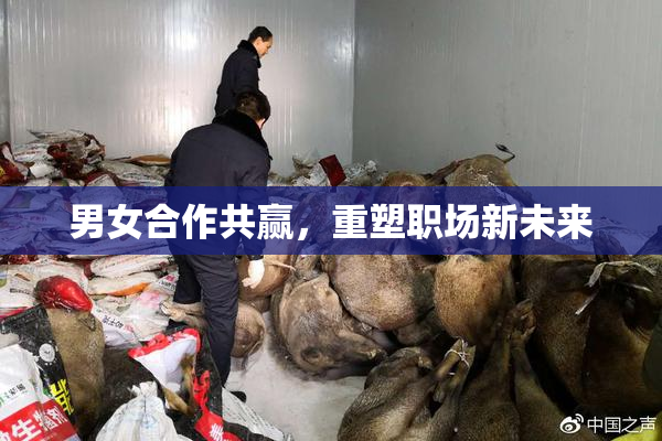 男女合作共赢，重塑职场新未来
