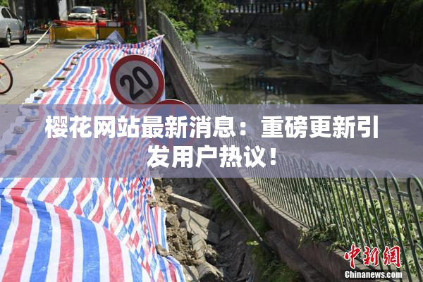 樱花网站最新消息：重磅更新引发用户热议！