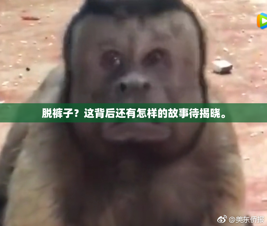 脱裤子？这背后还有怎样的故事待揭晓。