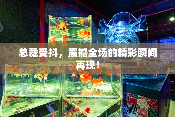 总裁受抖，震撼全场的精彩瞬间再现！