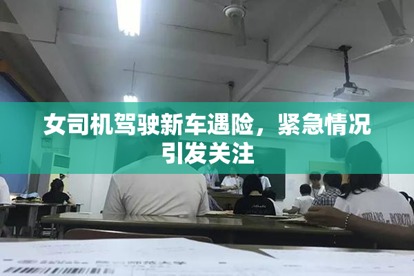 女司机驾驶新车遇险，紧急情况引发关注