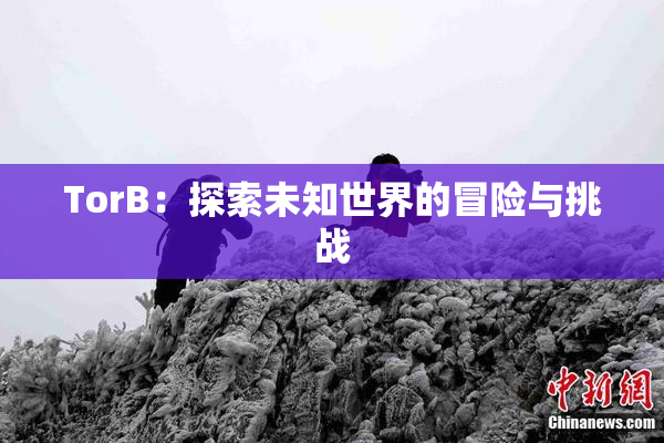 TorB：探索未知世界的冒险与挑战