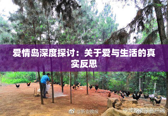 爱情岛深度探讨：关于爱与生活的真实反思