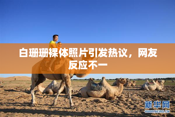 白珊珊裸体照片引发热议，网友反应不一