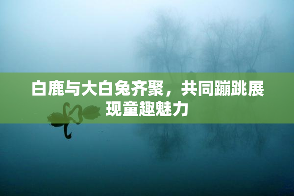 白鹿与大白兔齐聚，共同蹦跳展现童趣魅力
