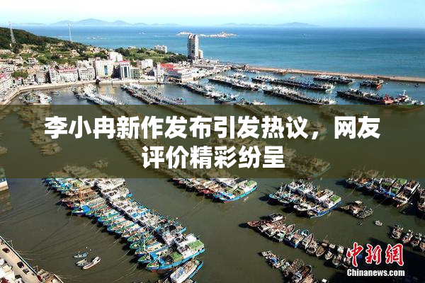 李小冉新作发布引发热议，网友评价精彩纷呈