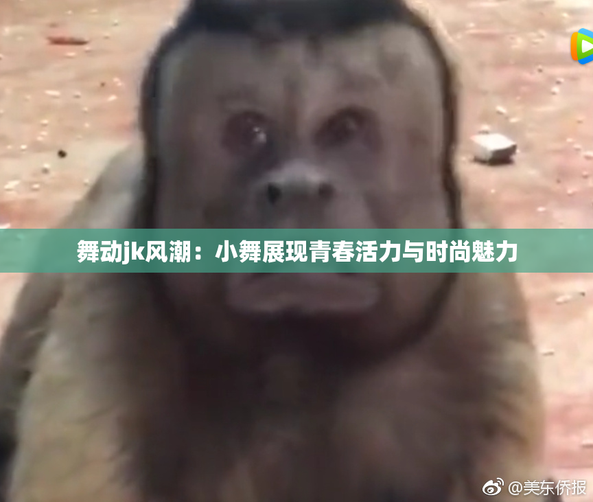 舞动jk风潮：小舞展现青春活力与时尚魅力