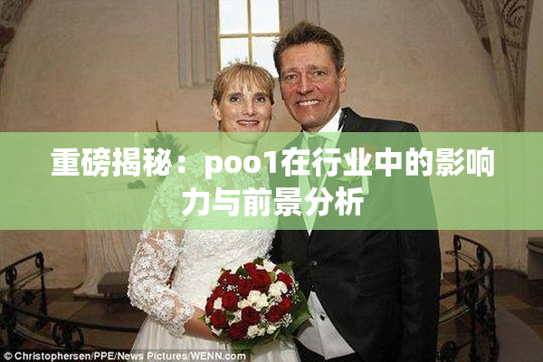 重磅揭秘：poo1在行业中的影响力与前景分析