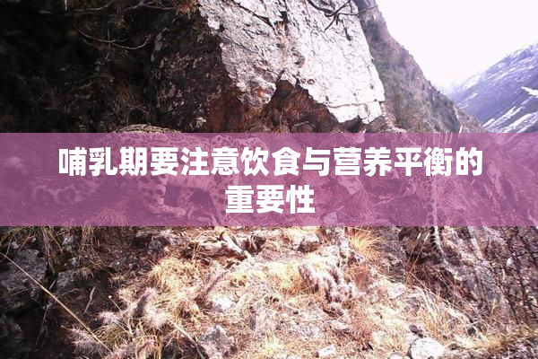 哺乳期要注意饮食与营养平衡的重要性