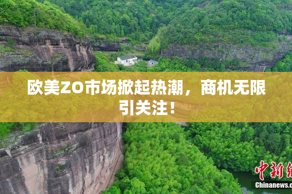 欧美ZO市场掀起热潮，商机无限引关注！