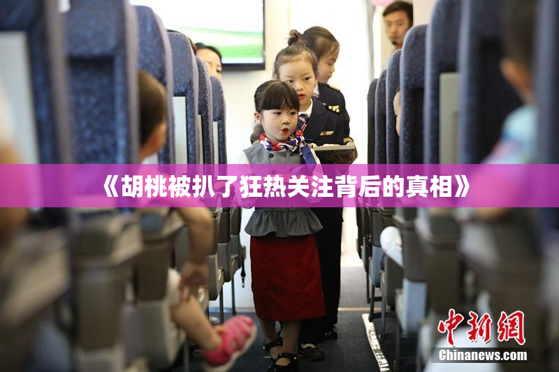 《胡桃被扒了狂热关注背后的真相》