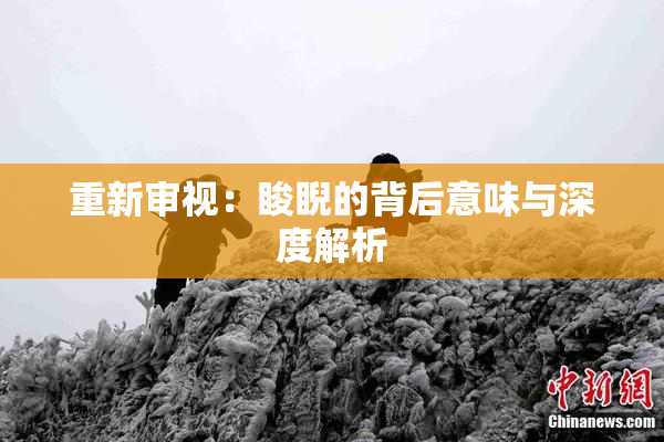 重新审视：睃睨的背后意味与深度解析