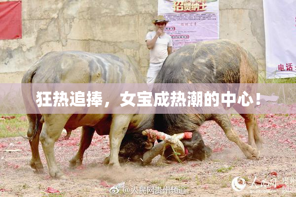 狂热追捧，女宝成热潮的中心！