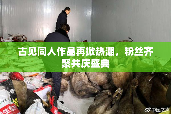 古见同人作品再掀热潮，粉丝齐聚共庆盛典