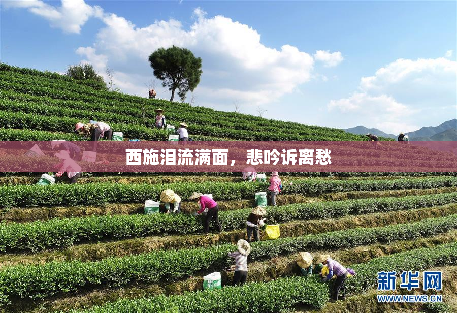 西施泪流满面，悲吟诉离愁