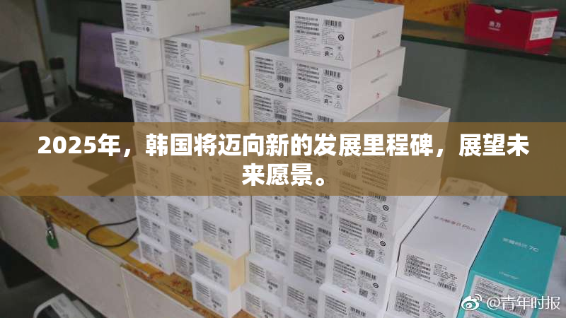 2025年，韩国将迈向新的发展里程碑，展望未来愿景。
