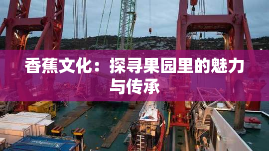 香蕉文化：探寻果园里的魅力与传承