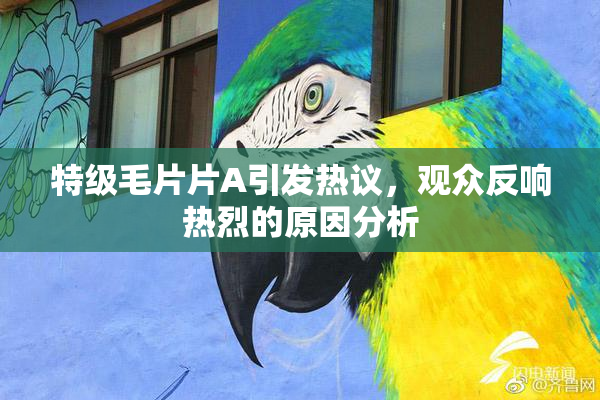 特级毛片片A引发热议，观众反响热烈的原因分析