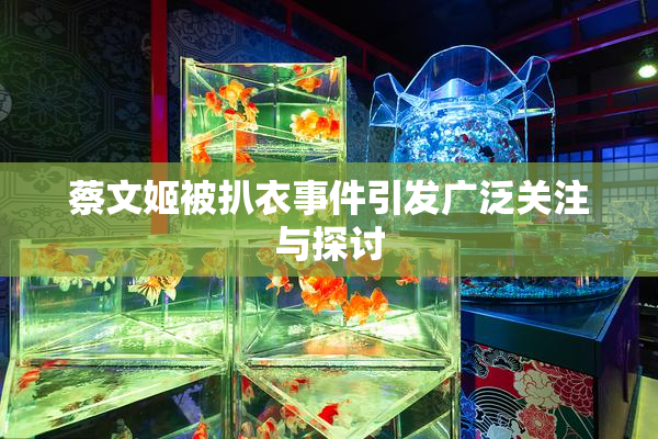 蔡文姬被扒衣事件引发广泛关注与探讨