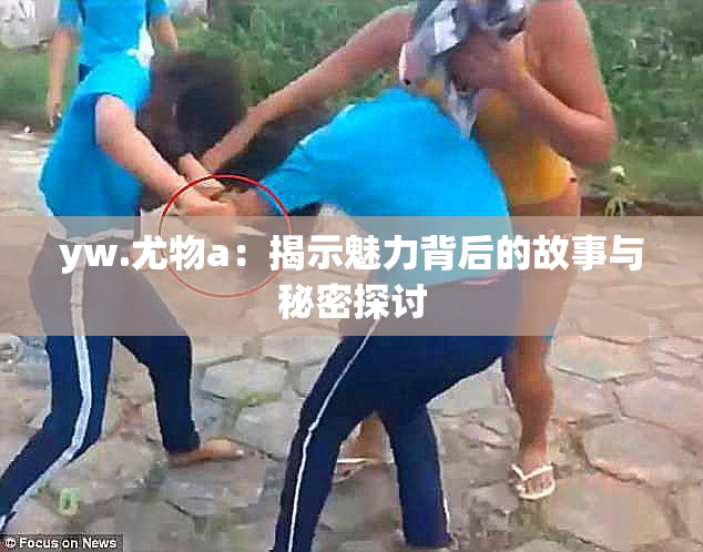 yw.尤物a：揭示魅力背后的故事与秘密探讨
