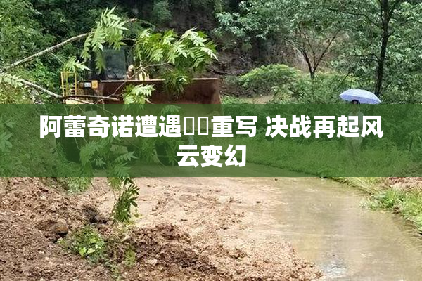 阿蕾奇诺遭遇❌‌重写 决战再起风云变幻