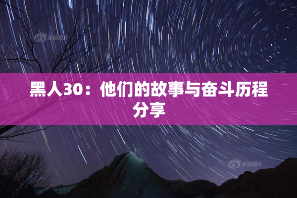 黑人30：他们的故事与奋斗历程分享