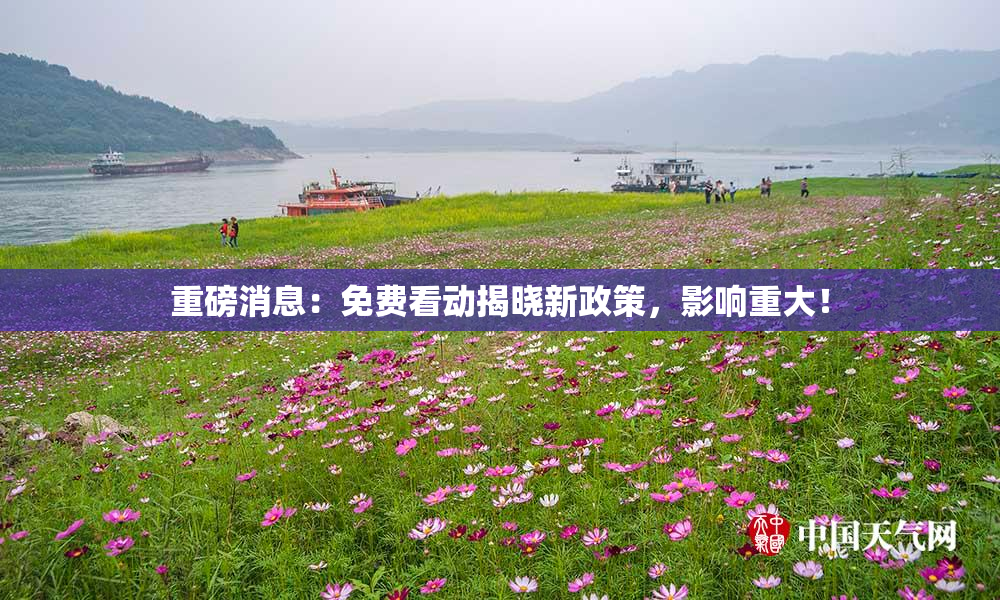 重磅消息：免费看动揭晓新政策，影响重大！