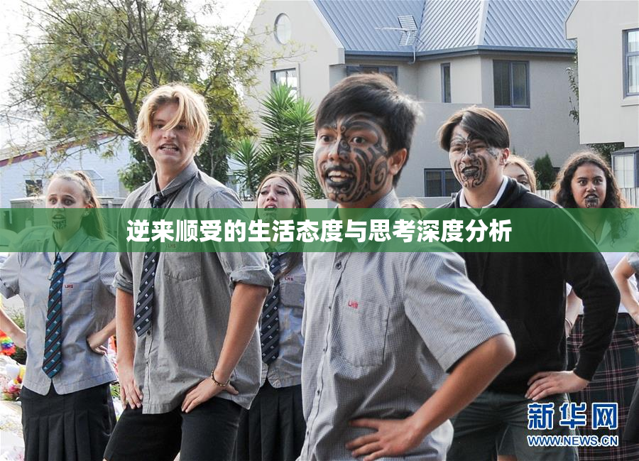 逆来顺受的生活态度与思考深度分析