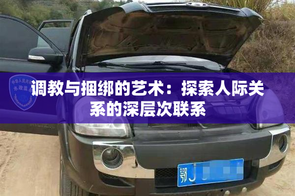 调教与捆绑的艺术：探索人际关系的深层次联系