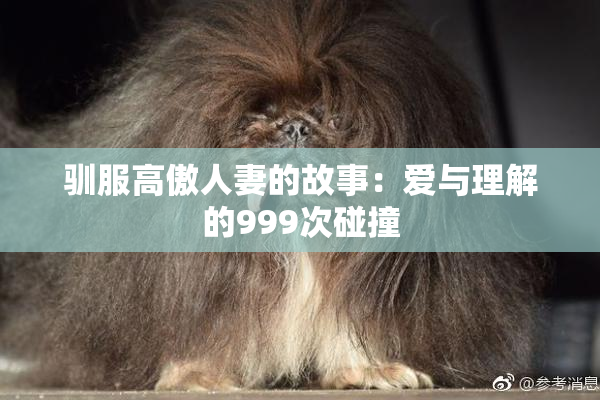 驯服高傲人妻的故事：爱与理解的999次碰撞