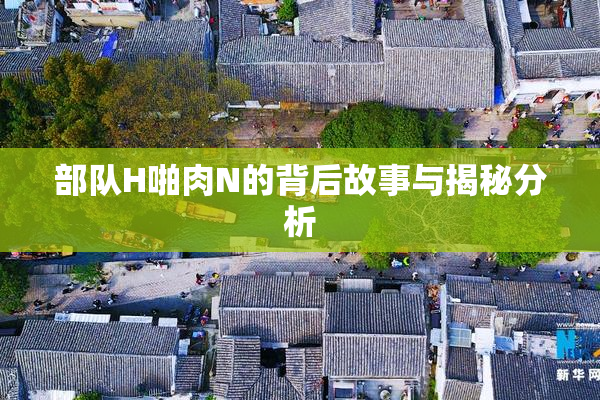 部队H啪肉N的背后故事与揭秘分析