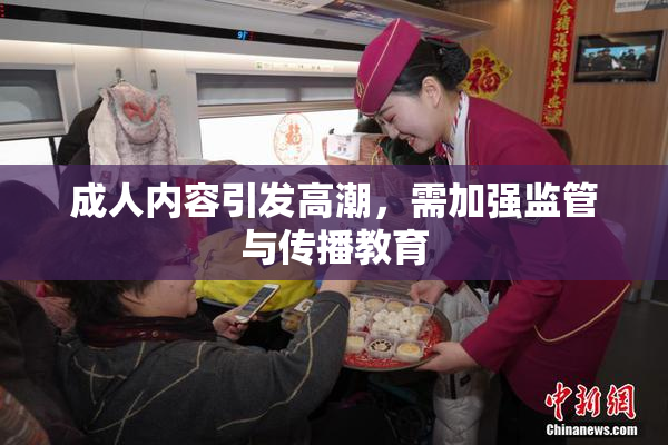 成人内容引发高潮，需加强监管与传播教育