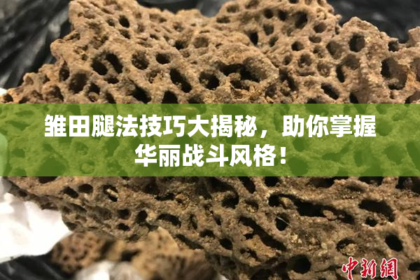 雏田腿法技巧大揭秘，助你掌握华丽战斗风格！