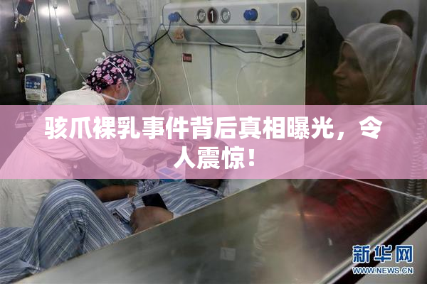 骇爪裸乳事件背后真相曝光，令人震惊！