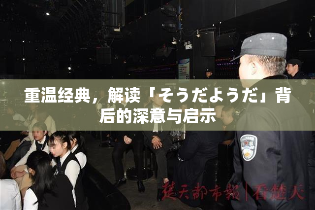重温经典，解读「そうだようだ」背后的深意与启示