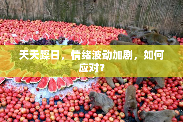 天天躁日，情绪波动加剧，如何应对？