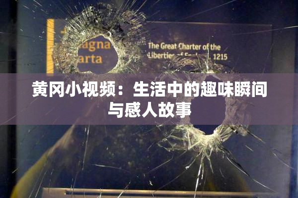 黄冈小视频：生活中的趣味瞬间与感人故事
