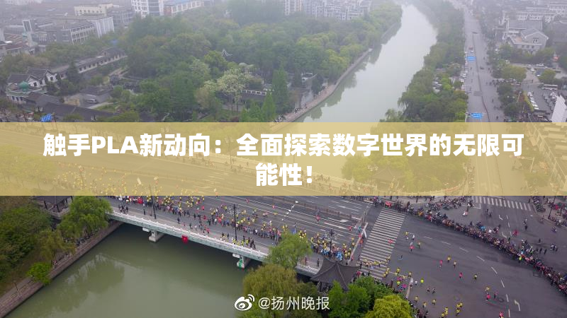 触手PLA新动向：全面探索数字世界的无限可能性！