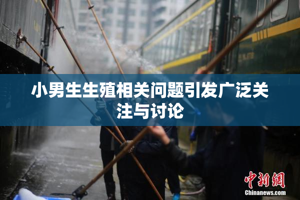 小男生生殖相关问题引发广泛关注与讨论