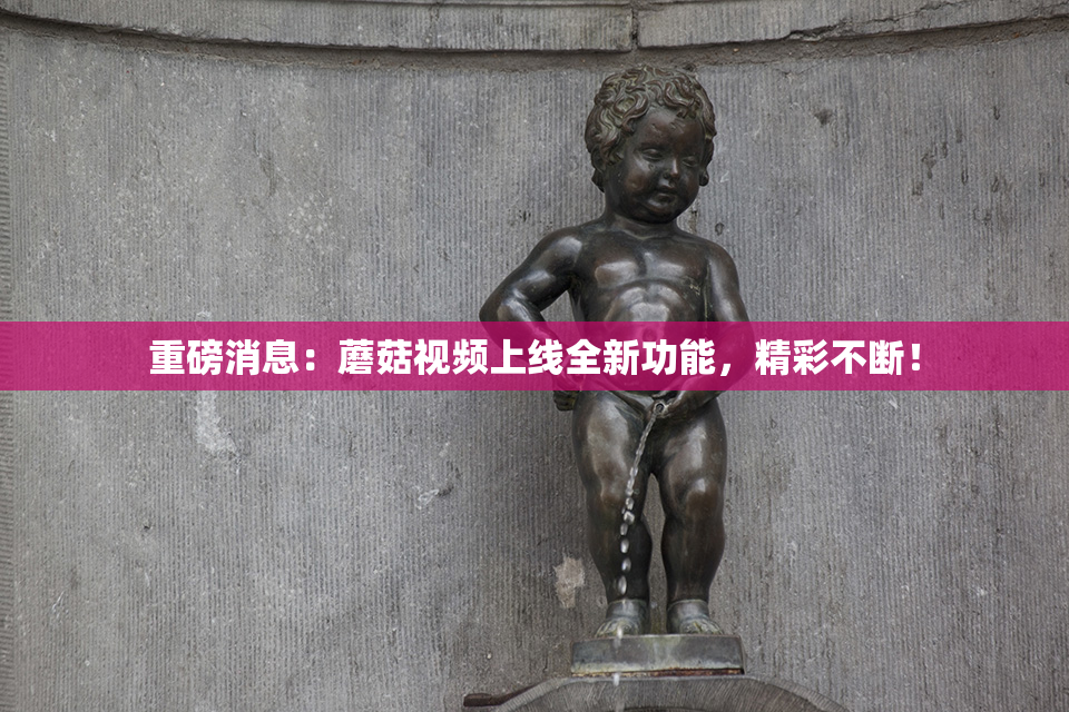 重磅消息：蘑菇视频上线全新功能，精彩不断！