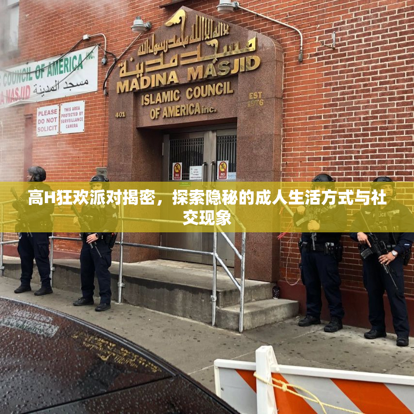 高H狂欢派对揭密，探索隐秘的成人生活方式与社交现象